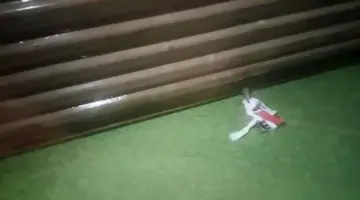 كيف يؤثر إغلاق المحال على اقتصاد مصر؟.. وفورات سريعة أم خسائر أعمق